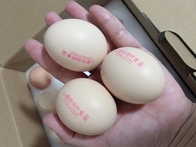 瀏覽全球網(wǎng)絡(luò)，您還能找到比這個更全面的雞蛋噴碼機解決方案嗎？